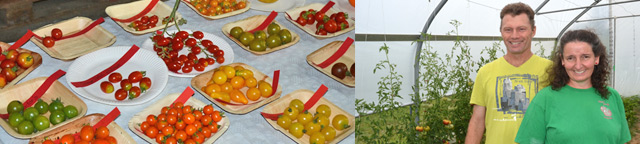 Frisch vor Oeli - Tomatenspezialitäten